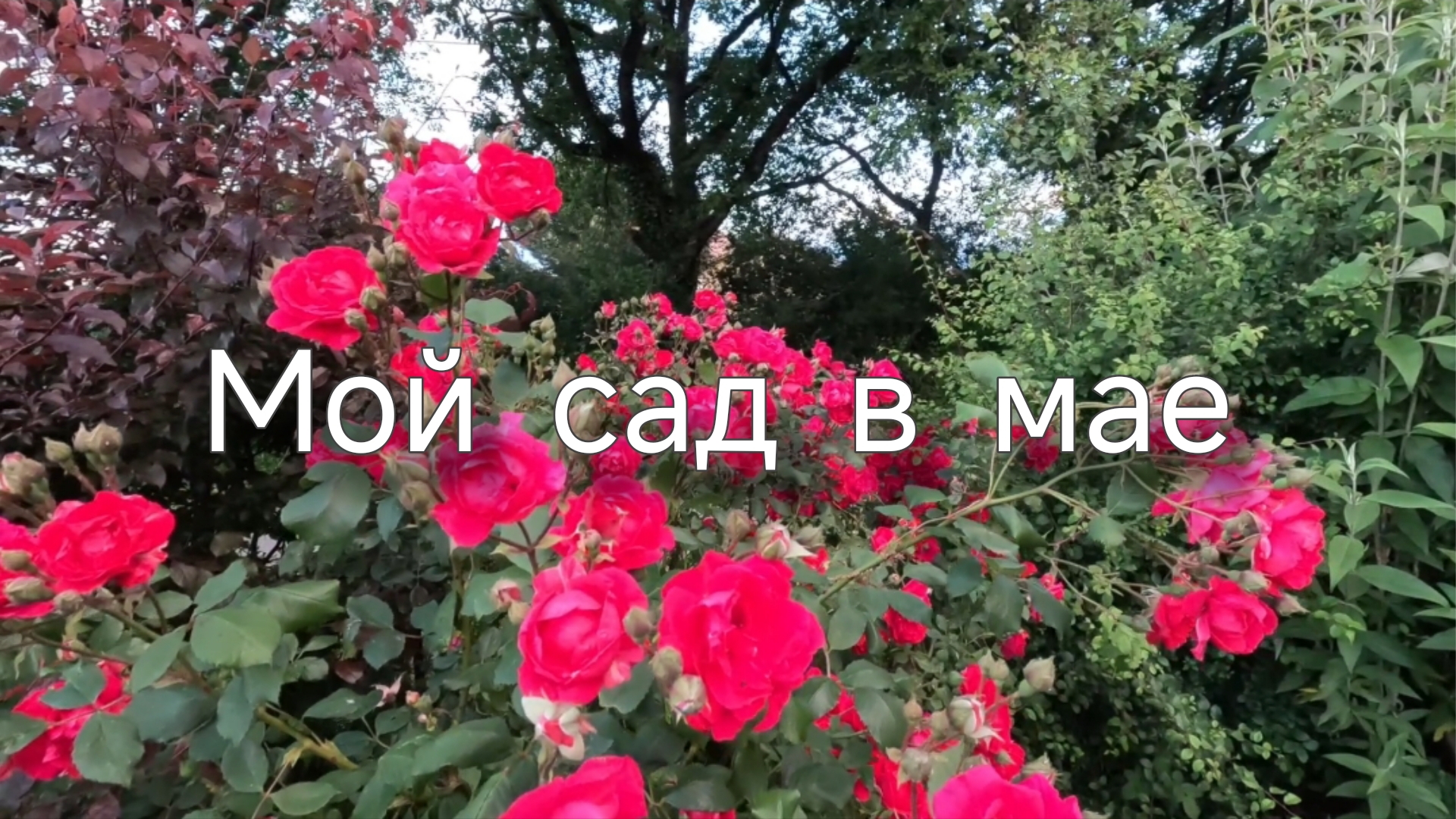 Наш городок и наша деревня в мае. смотреть онлайн