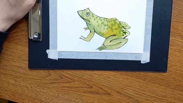 Frog speedpaint| Лягушка спидпеинт| Акварель| Watercolor #speedpaint #watercolor смотреть онлайн
