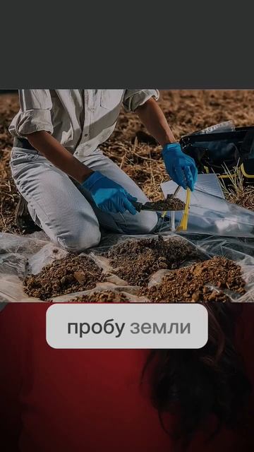 Подходит ли земля для выращивания растений? #ландшафт смотреть онлайн