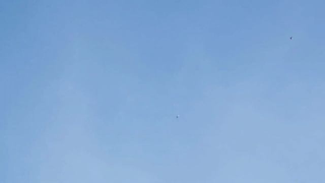 Голуби как зажигалки. Pigeons are like lighters. смотреть онлайн