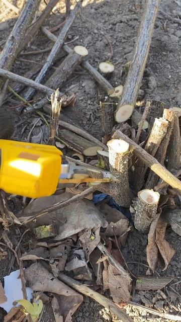 Секатор ТНО макс різ 28 мм смотреть онлайн