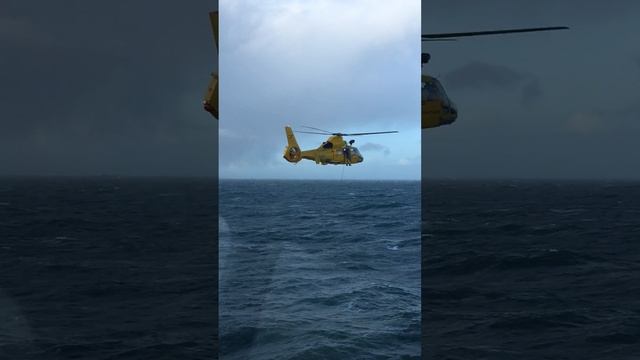 Посадка Лоцмана в Амстердаме