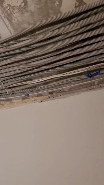 когда доделываешь работу за других специалистов #элек смотреть онлайн