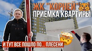 ПРИЕМКА КВАРТИРЫ | ЖК «КОРНЕЙ» | СЗ «ТВЕЛЛ» | ТЮМЕНЬ