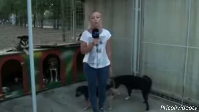 Лучшие Прикольные Видео Девушками Смешное Видео Декабря 2014 Подборка Приколов смотреть онлайн