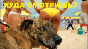 Я РЖАЛ ДО СЛЕЗ😂 5 Минут ОТБОРНЫХ ПРИКОЛОВ 2025 Смешные видео - Лучшие ПРИКОЛЫ Май #10