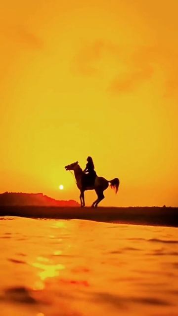 Красивое видео 🥰