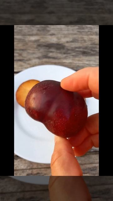 Гибрид ПЕРСИК-СЛИВА: очень вкусный смотреть онлайн