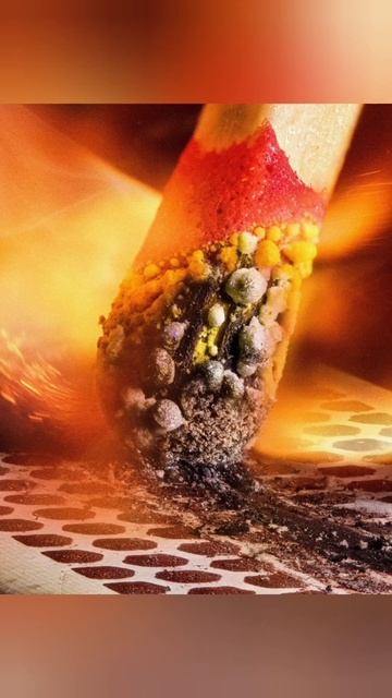 лучшие фото природы и животных 2023года. #природа #живот? смотреть онлайн