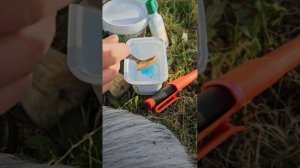 ПРОСТОЕ СРЕДСТВО ЛЕЧИТ РАК ПЛОДОВЫХ! Как вылечить раковые раны на деревьях? Подробный мастер-класс