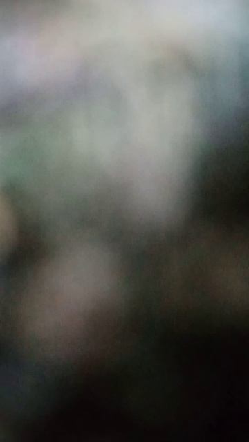 Влажный корм для кошек HIT STICK смотреть онлайн