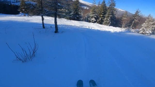 Фрирайд.Пилипец 24.01.2022