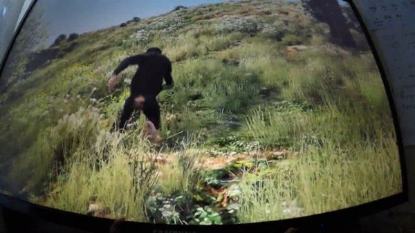 GTA 5 играем за обезьяну