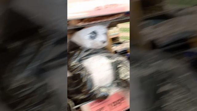 Детский уголок 🧸 смотреть онлайн