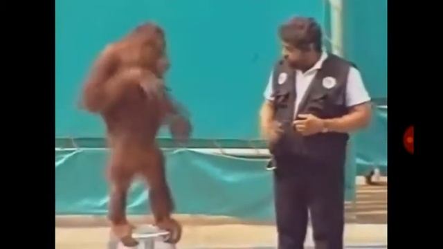 Я ржал Целий 1 час