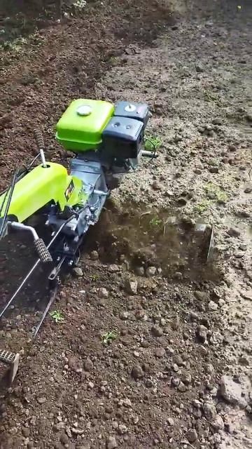 Аргомаркет WM1100-C6 смотреть онлайн