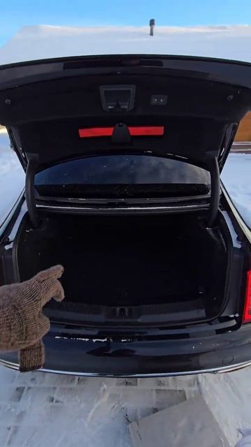 НоngqiH9 +100кг песка в багажник для уверенности 😅 смотреть онлайн