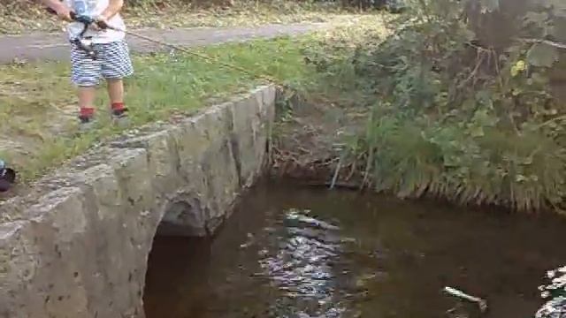 ребёнок ловит рыбу  Kind Beim Angeln.