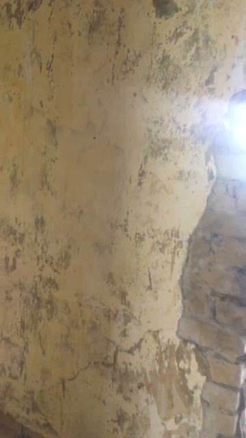 Штукатурка старого дома. смотреть онлайн