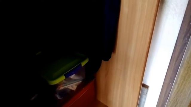 Кот Ричи проехался в московском метро)) смотреть онлайн