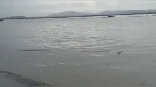 НОВЫЕ СМЕШНЫЕ ПРИКОЛЫ август 2019 реально УРЖАТЬСЯ ДО СЛЕЗ И УЖАСНУТЬСЯ 20 мин. смотреть онлайн