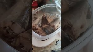 Терпуг и Навага - в ПАРОВАРКЕ на Пару