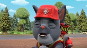 Крепыш и команда | Крепыш спасает животных в Бухте Строителей вместе с Миксом и Уилером! | Nick Jr.