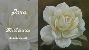 Белая Роза Живопись Маслом
