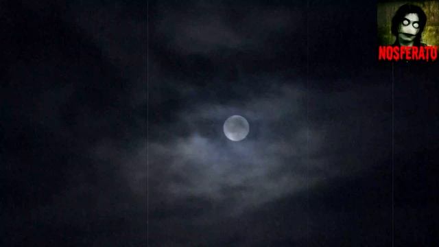 Моя вина. Страшные истории на ночь 🫣🫣🫣 смотреть онлайн