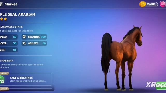 SE. Обновление пришло в Star Equestrian