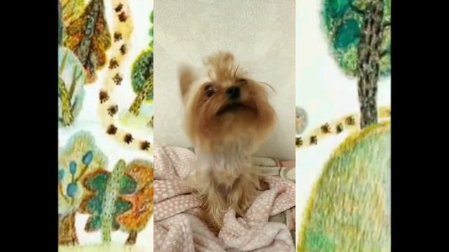 Клёпа и Микка в мультике про Винни Пуха. Мои собаки в мультике.