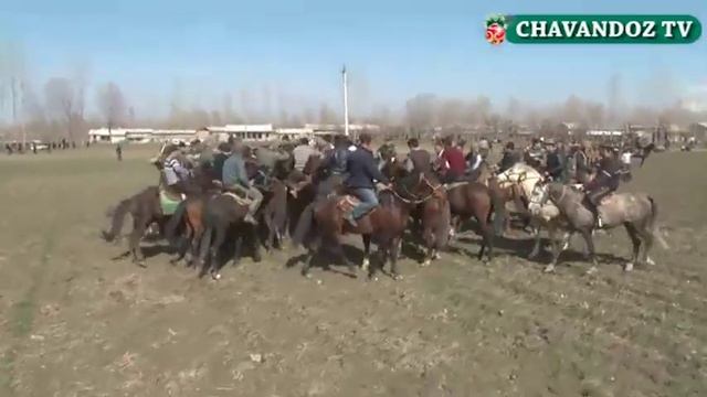 ШИТОП ГАШТАК КУПКАРИ смотреть онлайн