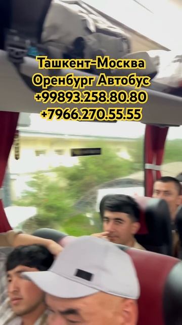 #ташкент #москва #автобус #ташкент #оренбург #автобус #т смотреть онлайн