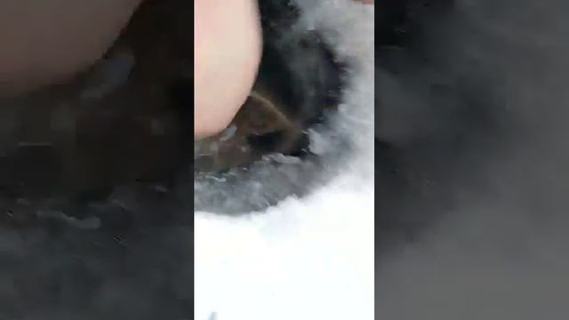 Самое смешное и прикольное видео с рыбалки смотреть онлайн