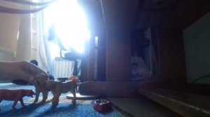 2 часть сериал львы воители