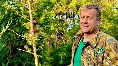 Олег Зубков учит маленького Финика ЛАЗИТЬ по ДЕРЕВЬЯМ и показывает нам нового жителя Тайгана) смотреть онлайн