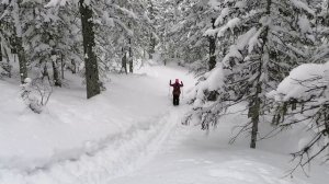 Прогулка в районе озера Амут 29 марта 2025.mp4