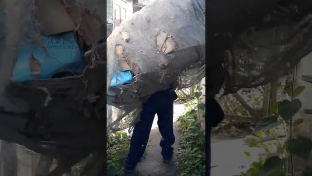 Приключения Шурика на работе Часть 2 смотреть онлайн