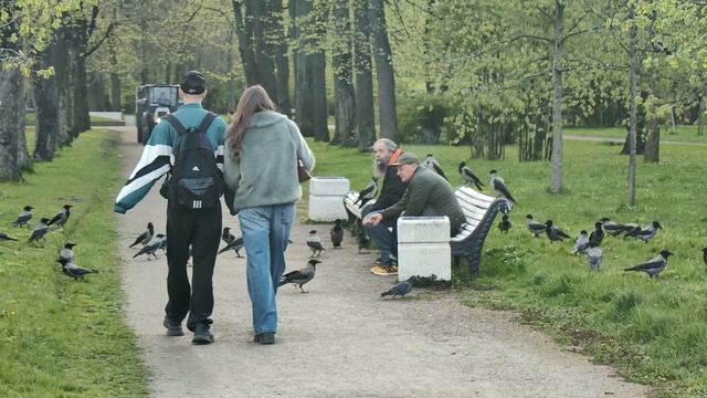 Повелители ворон в парке Победы смотреть онлайн