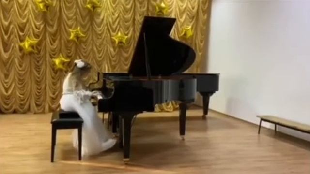 "НОВОРІЧНА ПОДОРОЖ СОНЯЧНИХ ДІТЕЙ". Концерт учнів фортепіанного відділу ДМШ N°1 для сонячних дітей. смотреть онлайн