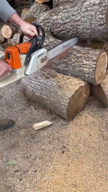 STIHL - MS 260 огляд смотреть онлайн