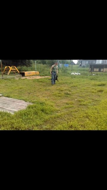 Порода немецкий пинчер. Собака выполняет команды чётко смотреть онлайн