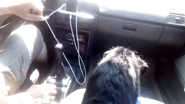 Роман-Кош Феличита