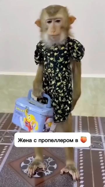 Наконец-то выходной смотреть онлайн