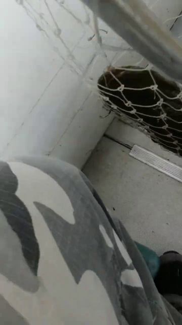 Большая щука на спиннинг #щука #трофей #рыбалка #хантер смотреть онлайн