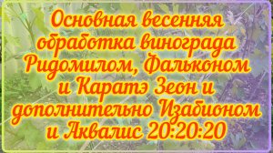 Основная весенняя обработка винограда Ридомилом, Фальконом и Каратэ Зеон и дополнительно Изабионом