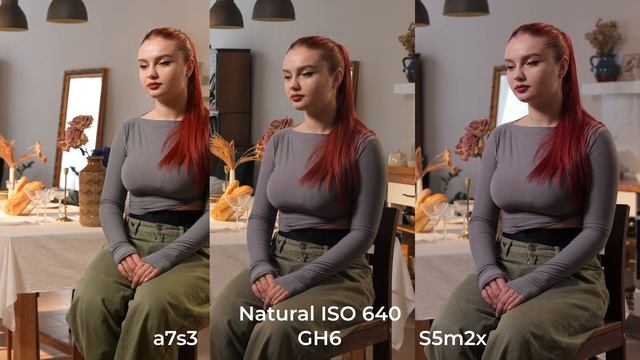 Обзор и сравнение  LUMIX S5IIX Vs A7s3 Vs GH6