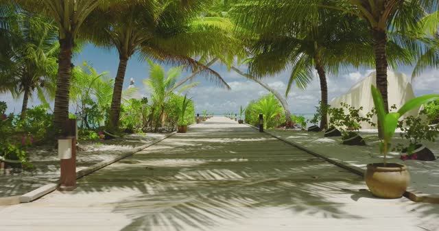 Canareef Maldives смотреть онлайн