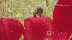 А во сколько лет узнал ты ? Удивительные и поразительные факты.