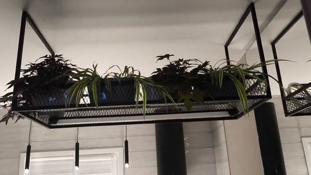 Полка из декоративной сетки для цветов. Просечно вытяжная сетка ЦПВС Железный слон. Ячейка 42х20